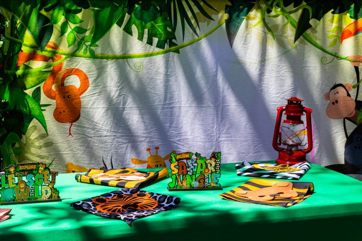 safari birthday decorations