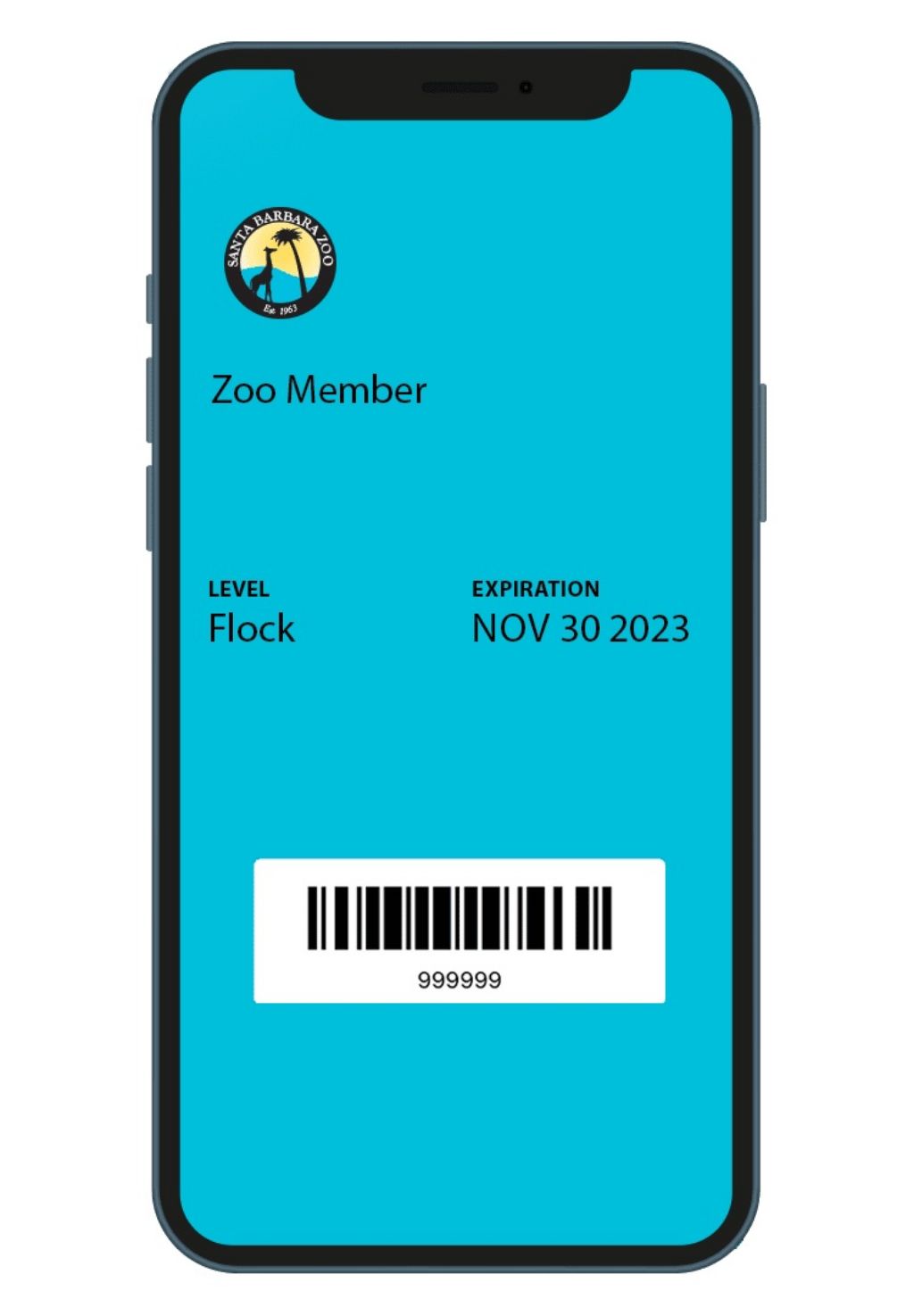 digital pass
