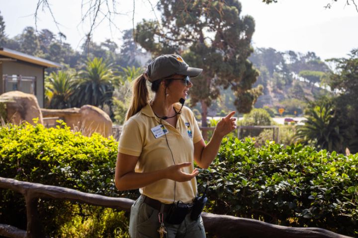 walking tour guide